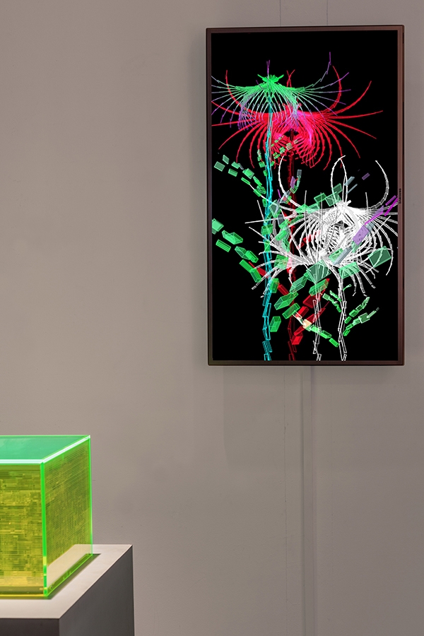 Cleome Spinosa de Buñuel, graine virtuelle de la série Fractal Flowers, écran LCD 50pouces (112 cm x 64 cm), 2013 Cleome Spinosa de Buñuel, graine virtuelle de la série Fractal Flowers, écran LCD 50pouces (112 cm x 64 cm), 2013