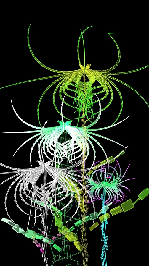 Cleome Spinosa de Buñuel, graine virtuelle de la série Fractal Flowers, écran LCD 50pouces (112 cm x 64 cm), 2013 Cleome Spinosa de Buñuel, graine virtuelle de la série Fractal Flowers, écran LCD 50pouces (112 cm x 64 cm), 2013