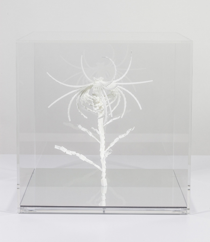 Cleome Spinosa de Buñuel, sculpture par impression 3D de graine virtuelle de la série Fractal Flowers, 2013 Cleome Spinosa de Buñuel, sculpture par impression 3D de graine virtuelle de la série Fractal Flowers, 2013