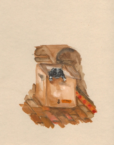 Dog in a box, watercolour on paper, 14 x 19 cm Dog in a box, watercolour on paper, 14 x 19 cm