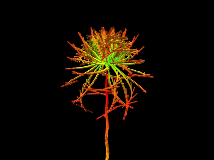 Lenon Nicotiana Tabacum, graine virtuelle de la série Fractal Flowers, écran LCD Lenon Nicotiana Tabacum, graine virtuelle de la série Fractal Flowers, écran LCD